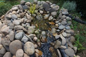 Création d'un prè-bassin avec cascade