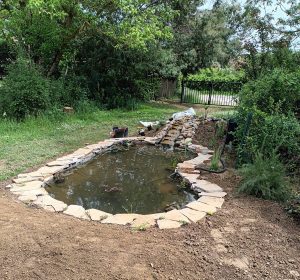 Plantation des berges