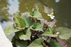 Retour sur le chantier après trois mois