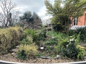 Massif japonais avant vue d'en bas