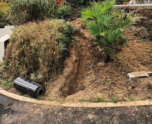 Barriere anti-rhizome