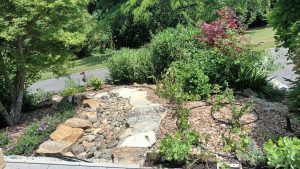 Installation arrosage goutte-à-goutte