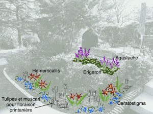 Proposition massif japonais - cote