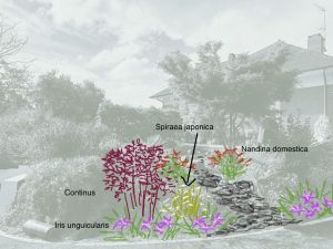 Proposition massif japonais - face