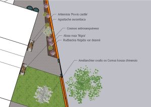 Plan de plantation devant