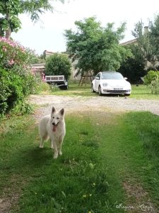 Accès voitures avant