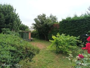 Espace piscine avant