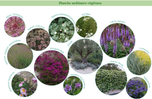 Planche ambiance végétaux