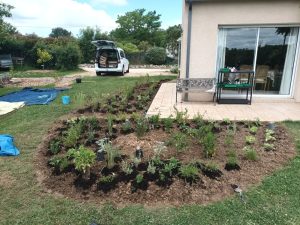 Plantation massif vivaces